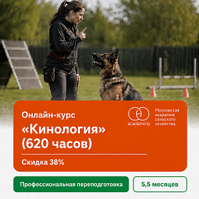 Онлайн-курс «Кинология» (620 часов)