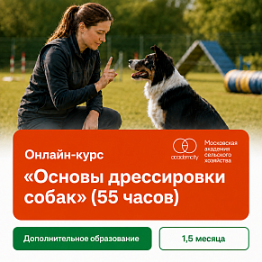 Онлайн-курс «Основы дрессировки собак» (55 часов)