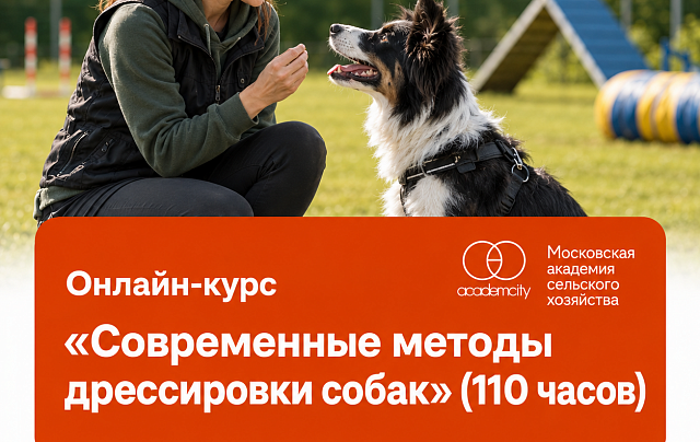 Онлайн-курс «Современные методы дрессировки собак»