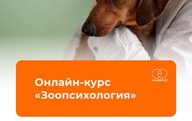 Онлайн-курс «Зоопсихология» (380 часов)