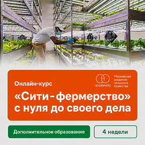 Онлайн-курс «Сити-фермерство» с нуля до своего дела