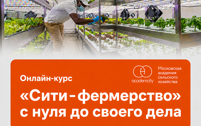 Онлайн-курс «Сити-фермерство» с нуля до своего дела