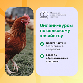 Онлайн-курс «Лесное дело»
