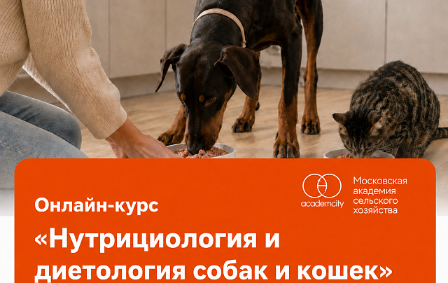 Онлайн-курс «Нутрициология и диетология собак и кошек»