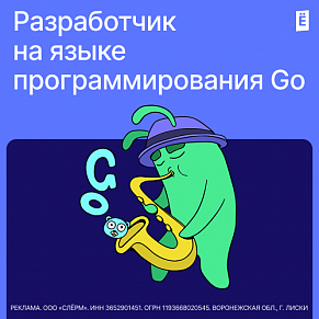 Разработчик на языке программирования Go