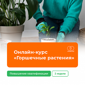 Онлайн-курс «Горшечные растения» (72 часа)