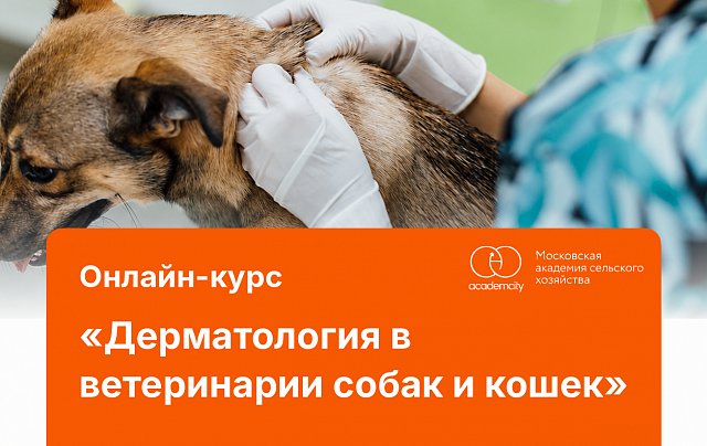 Онлайн-курс «Дерматология в ветеринарии собак и кошек»